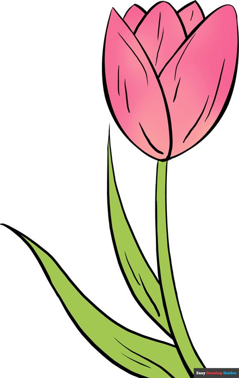 Learn to draw a pretty tulip. This step-by-step tutorial makes it easy. Kids and beginners alike can now draw a great looking tulip flower. Tulip Flower Drawing, Tulip Flower Pictures, Tulips Images, Tulip Drawing, Easy Flower Drawings, Summer Drawings, Flower Drawing Tutorials, Tulip Painting, Tulips Art