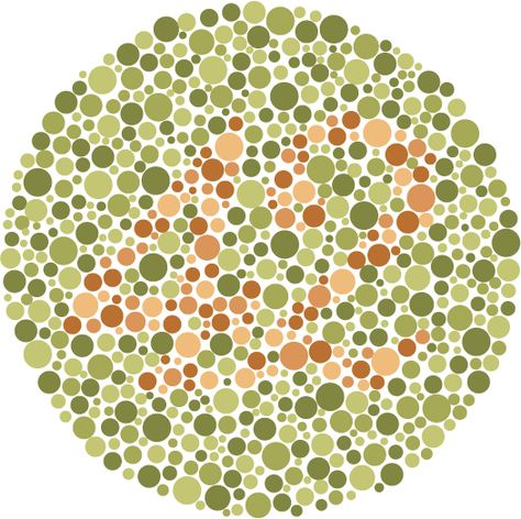 Colorblind Homepage ~ this is a valuable tool.. I give this page to parents when they question me on my findings. Blind Test, Brain Test, School Health, Nurse Rock, Nurse Office, Medical Examination, Color Test, Color Blind, Pediatric Nursing