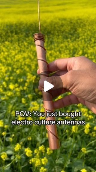 Fairy Tale Crops on Instagram: "If you have not tried Electro Culture Antennas then this is your summer to try them! Gardening will be never the same ⚡️  Learn more on our website! Link in bio   #electroculturegardening #garden #electroculture #electrocultureantenna #gardenhack #farmlife #farming #garden101 #newgardener" Electro Culture, Front Yard Curb Appeal, Front Yards Curb Appeal, Big Yard, Never The Same, Gardening 101, March 8, June 19, Garden Stuff