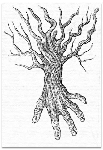 Explore prodecker's photos on Flickr. prodecker has uploaded 405 photos to Flickr. Tree Root Hand Tattoo, Tree Hand Drawing, Twisty Tree Drawing, Human Tree Art, Hand Tree Tattoo, Elements Of Nature Art, Drawing Meaning, Human Structure, Roots Drawing