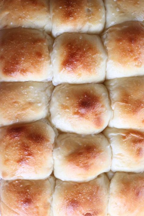 These same-day sourdough dinner rolls are a game-changer for holiday baking! Naturally leavened with sourdough starter and requiring no yeast, these soft, fluffy rolls are perfect for Thanksgiving, Christmas, or any festive meal. Easy to make in one day with a forgiving timeline, they’re ideal for beginners and impress with their buttery flavor and light texture. Make ahead for family gatherings and add a homemade touch to any holiday table! Country Roads Sourdough Dinner Rolls, Soft Sourdough Dinner Rolls Pantry Mama, Super Soft Sourdough Discard Rolls, Dinner Rolls Sourdough Discard, Sourdough Dinner Rolls With Yeast, Sourdough Quick Rolls, Sourdough Dinner Rolls No Yeast, Same Day Sourdough Dinner Rolls, Fast Sourdough Rolls