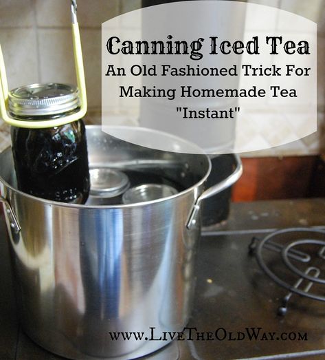 Tea Concentrate Recipe, Canning Water, Canning Granny, Tea Concentrate, Homemade Iced Tea, Pressure Canning Recipes, Canning 101, Making Iced Tea, Home Canning Recipes