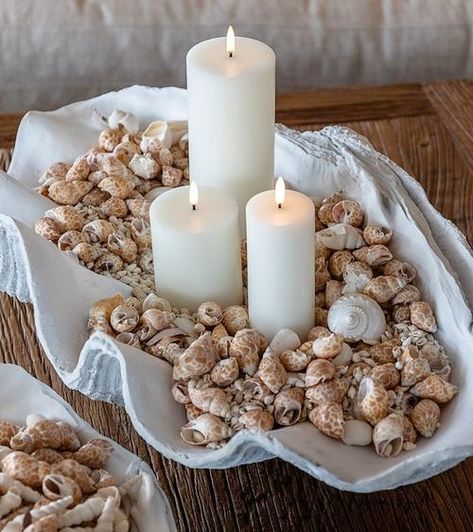 How to Use Clam Shells as Bowls & Planters | Decor Ideas for Giant Clams Candle Display Ideas, Bedroom Ideas Baddie, Coastal Decorating Ideas, Beach Candle Holder, Florida Beach Cottage, Bissell Carpet Cleaner, Giant Clam Shell, Seashell Collection, Seashell Display