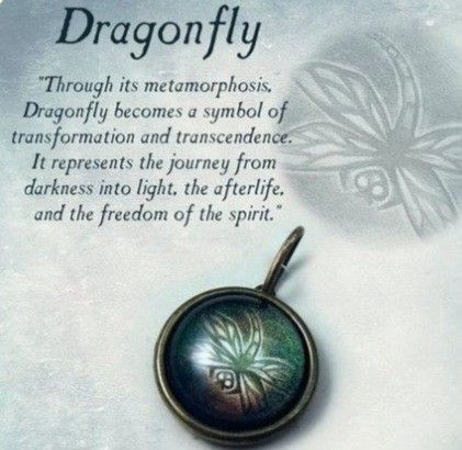 Dragonfly Meaning, Dragonfly Symbolism, Dragonfly Quotes, Tattoo Animal, Damselflies, Brass Animals, Animal Spirit Guides, Dragon Flies, Dragonfly Dreams