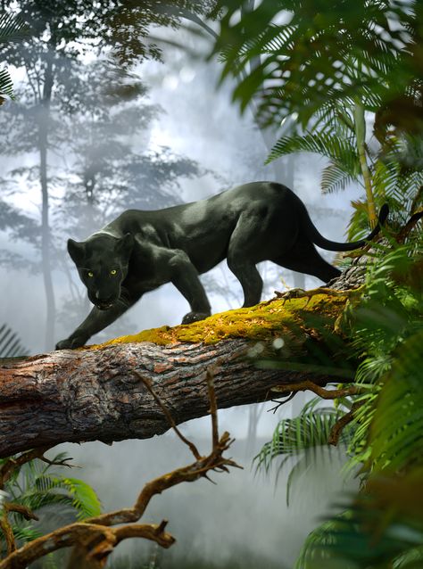 Many Strange Tales Are Told Of This Jungle by Michael Heath Strange Tales, Black Panther, A Black, Panther, Trees, Digital Download, Forest, Black