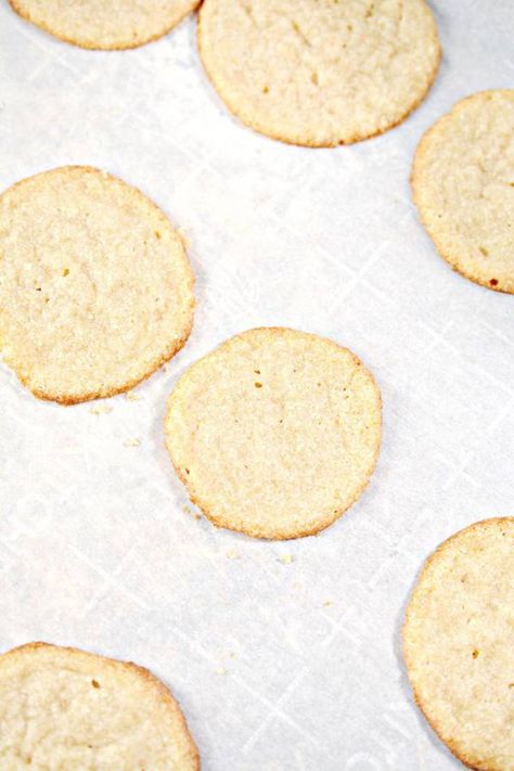 Keto Cookies! BEST Low Carb Keto Vanilla Wafer Cookie Idea – Quick & Easy Ketogenic Diet Recipe – Snacks – Desserts – Breakfast Wafer Cookie Recipe, Keto Butter Cookies, Snickers Cookies, Wafer Cookie, Fudge Stripe Cookies, Cookies Best, Low Carb Cookies Recipes, Keto Fudge, Vanilla Wafer