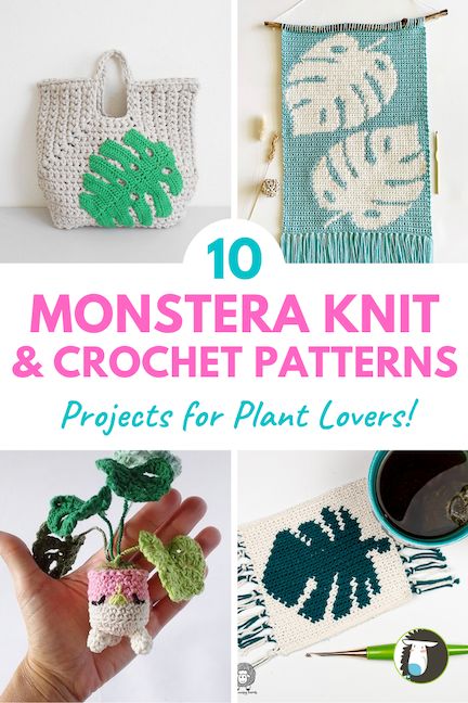 Crochet Monstera, Colorwork Knitting Patterns, Crochet House, Crochet Plants, Mug Rug Patterns, Colorwork Knitting, Crochet Plant, Dishcloth Pattern, Crochet Dishcloths