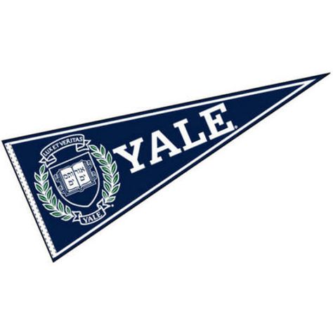 old style pennant often found in students dorms College Pennants, College Flags, Dream University, Paris Geller, Quinn Fabray, Felt Pennants, Dream College, Court Judge, Dream School