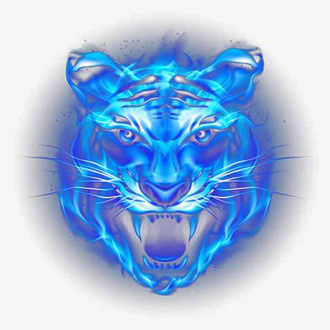 Head Picture, Creative Logo Design Art, Fire Lion, Tiger Wallpaper, Tiger Pictures, Army Girlfriend Pictures, Big Cats Art, Blue Skulls, Cute Backgrounds For Phones