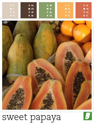 Color #Palette : Sweet Papaya Papaya Color Palette, Yearbook, Color Ideas, Papaya, Color Palettes, Color Palette, Sweet Home, Fruit, Color