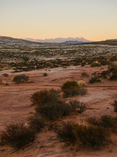 An HD photo of the beautiful soft light of sunrise in the desert of southern Utah.  Interested in another photo from my website coleudall.com? Send me a message on here or Instagram @coleudall and let me know! California Desert Aesthetic, Rock Reference, Cowgirl Core, Boho Pictures, Southwest Aesthetic, Aesthetic Desert, Desert Photos, Desert Nature, Utah Desert