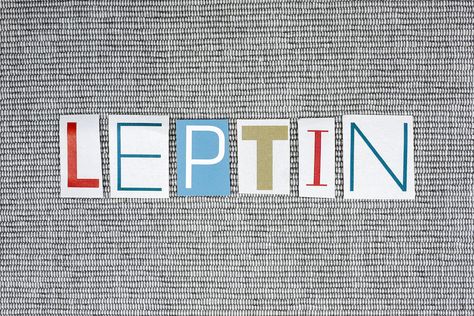 Leptin: How This Fat Burning Hormone Works – SWEAT Leptin Foods List, Leptin Diet, Leptin And Ghrelin, Leptin Resistance, Fat Burning Juice, High Carb Foods, Natural Hormones, Creating A Newsletter, Adipose Tissue