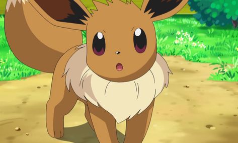 What Kind Of Animal Is Eevee? Decoding The Origins Of The Pokemon Wonder Evoluzioni Eevee, Sun Pokemon, Pokemon Halloween Costume, Pokemon Facts, Halloween Costumes You Can Make, Easy Pokemon, Eevee Cute, Pokemon Costumes, Pikachu Pikachu