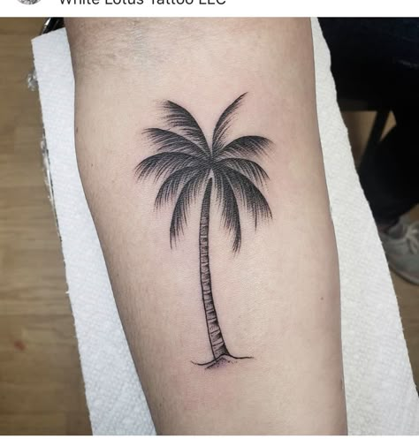 Palm Tree Tattoo On Ribs, Palm Tree On Leg Tattoo, Two Palm Trees Tattoo, Palm Tree On Calf Tattoo, Palm Tree Micro Tattoo, Front Thigh Tattoos, Typographic Tattoo, Band Tattoo Designs, Ribcage Tattoo