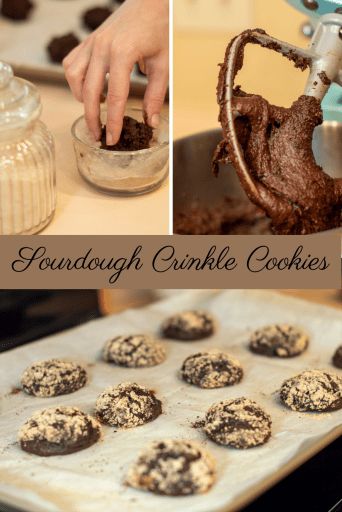 Sourdough Crinkle Cookies. Fudgy chocolate and sourdough tang makes the perfect christmas cookie! Fudgy Brownie, Frozen Cookies, Parchment Paper Baking, Sour Dough, Crinkle Cookies, Christmas Brunch, Cookie Tray, Fudgy Brownies, Winter Recipes