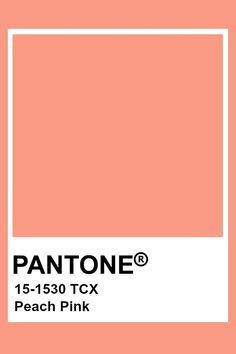 Pink Yarrow, Pantone Palette, Paint Color Schemes, Shades Of Peach, Peach Blush, Mood Board Inspiration, Candy Apple Red, Pink Paint, Coral Peach