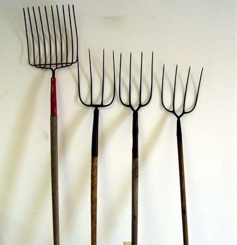 Pitch forks...make mulching fun Notes Outline, Pitch Forks, The French Revolution, Guided Notes, Antique Tools, Garden Hand Tools, French Revolution, Gardening Fork, Forks