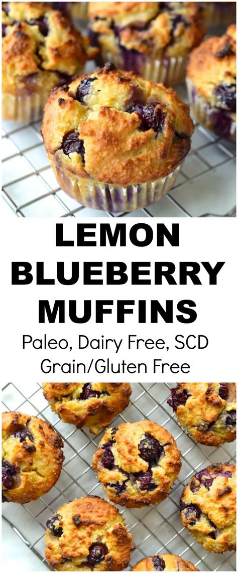 Paleo Lemon Blueberry Muffins, Muffins Lemon, Muffins Paleo, Paleo Muffins, Lemon Blueberry Muffins, Paleo Baking, Postre Keto, Lemon Muffins, Paleo Sweets