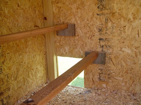 Roosting bars inside the hutch lift out for cleaning. Roosting Ideas For Chickens, Roosting Bar Ideas For Chickens, How To Build Roosting Bars, Roost Bar Ideas, 2x4 Roosting Bars, Chicken Roost Bars, Small Coop Roosting Bars, Chicken Roosting Bars How To Build, Diy Roosting Bars