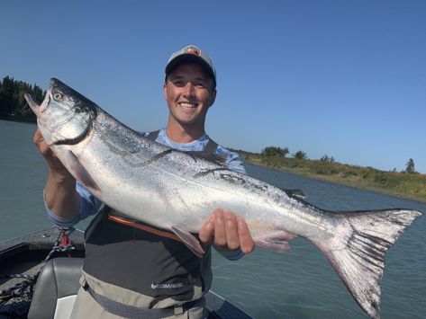 Kenai River Fishing: The Complete Guide for 2023 Dolly Varden, Rainbow Trout Fishing, How To Fish, Alaska Fishing, King Salmon, Sockeye Salmon, Salmon Fishing, River Fishing, Deep Sea Fishing