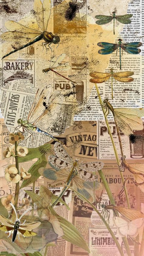 #vintage #vintageaesthetic #vintageart #vintagecollage #newspaper #oldart #dragonfly Dragonfly Aesthetic, Dragonfly Wallpaper, Fairy Room, Model Inspo, Vintage Collage, Aesthetic Collage, Old Art, Vintage Aesthetic, Phone Backgrounds