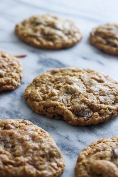 Whole Wheat Cookies, Healthier Dessert Options, Oatmeal Chocolate Chip Bars, Oatmeal Chocolate Chip Cookie Recipe, Cookie Dough To Eat, Chocolate Chip Bars, Perfect Chocolate Chip Cookies, Oatmeal Chocolate Chip, Oatmeal Chocolate