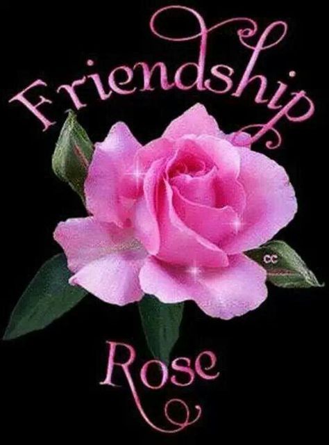 Friendship Rose Flower For Friendship, Hug Friendship, Friendship Articles, Friendship Rose, Flower Poem, Flower Colouring In, Friendship Flowers, Friendship Images, Rose Belle