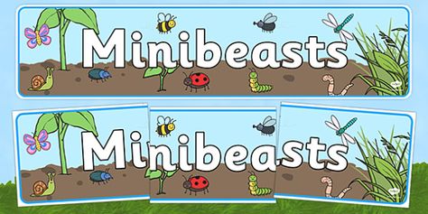 Minibeast Display Banner - Banner, Minibeasts, Display, Topic, Foundation stage, knowledge and understanding of the world, investigation, living things, snail, bee, ladybird, butterfly, spider, caterpillar Minibeasts Display, Minibeast Display, Role Play Areas, Display Banners, Primary Resources, Free Teaching Resources, Felt Board, Class Activities, Classroom Displays