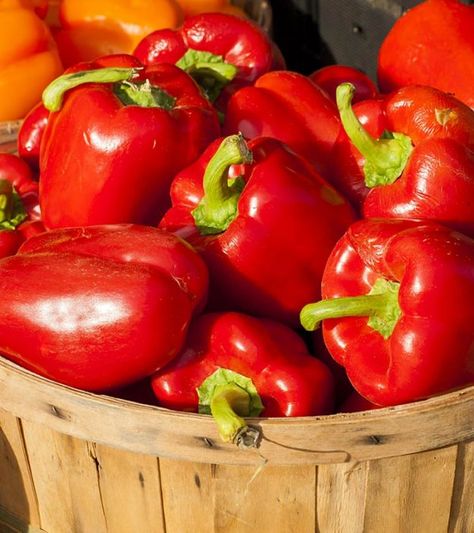 Red Pepper Benefits Health, Red Bell Pepper Benefits, Red Pepper Benefits, Peppers Drawing, Healthy Pepper Steak Recipe, Bell Pepper Benefits, Natural Sweets, Red Bell Pepper Recipes, Peppers Garden