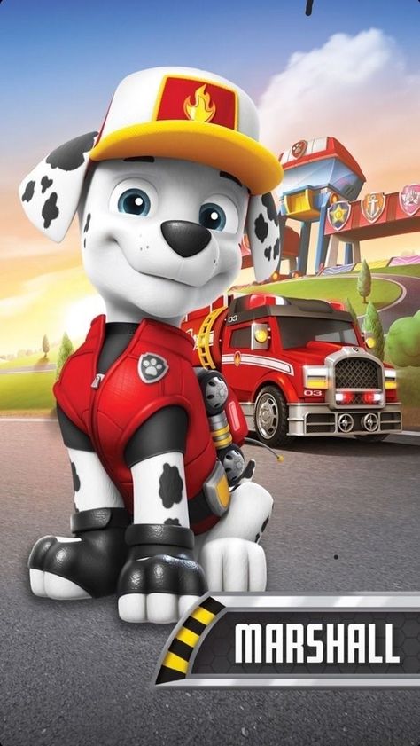 Paw Patrol Episodes, Imprimibles Paw Patrol, Christmas Ornament Coloring Page, Chubby Puppies, Paw Patrol Birthday Theme, Paw Patrol Cartoon, Paw Patrol Characters, Sassy Wallpaper, Paw Patrol Coloring