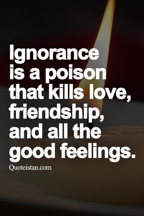 Ignorance Quotes, Ignored Quotes, Being Ignored Quotes, Being Ignored, Ignorant People, Good Feelings, Best Positive Quotes, Joyce Meyer, Trendy Quotes