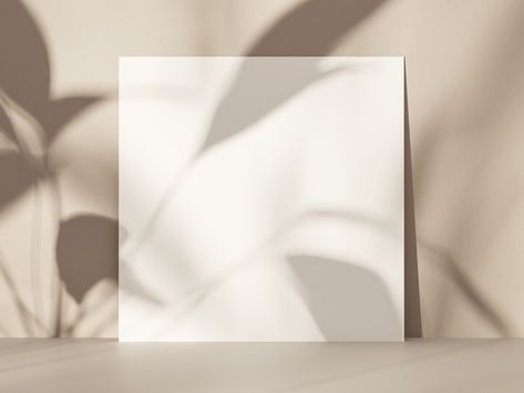 Aesthetic shadow of floral with blank card mockup design Shadow Photos Aesthetic, Aesthetic Shadow, Flower Shadow, Landscape Orientation, Shadow Photos, Card Mockup, Floral Photo, Blank Card, Photo Library