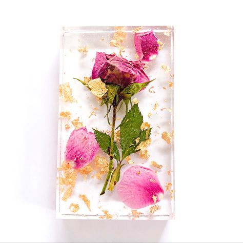 Dried pink garden rose with gold flakes preserved in resin. Rose Resin Art, Rose Preserved In Resin, Rose In Resin, Pink Garden Rose, Dry Rose, Garden Rose, Pink Garden, Resin Projects, Flower Photography