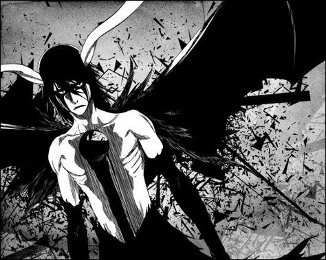 Ulquiorra Schiffer, Rukia Bleach, Ulquiorra Cifer, Byakuya Kuchiki, Arte Ninja, Anime Bleach, Hd Anime Wallpapers, Bleach Characters, Bleach Art