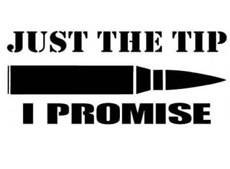 Just The Tip I Promise, Fine Shyt, Van Wall, Flowers Quotes, Stickers For Laptop, Girlfriend Quotes, Funny Decals, Print Decals, Nursery Wall Decals