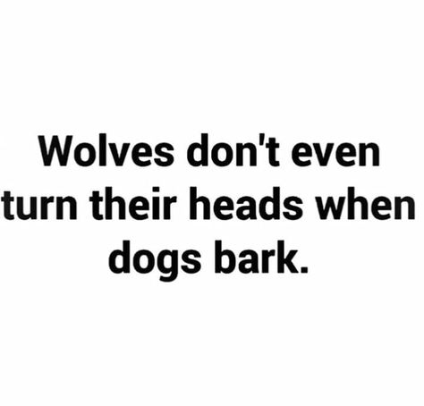 Keep Barking Quotes, Barking Dogs Quotes, Dog Bark, Barking Dog, Dialogue Prompts, Baddie Tips, Instagram Inspiration Posts, Dog Barking, Aesthetic Words