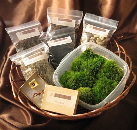 moss terrarium kit!!!!! i want one! :) Best Terrarium Plants, Diy Moss, Diy Terrarium Kit, Growing Moss, Terrarium Kit, Open Terrariums, Terrarium Containers, Moss Terrarium, Moss Garden