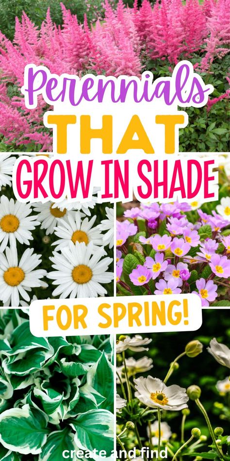 Collage of perennials that grow in shade for spring. Shade Perennial Garden, Best Perennials For Shade, Perennials For Shade, Perennial Garden Plans, Garden Flowers Perennials, Shade Loving Perennials, Shade Garden Plants, Garden Flower Beds, Best Perennials