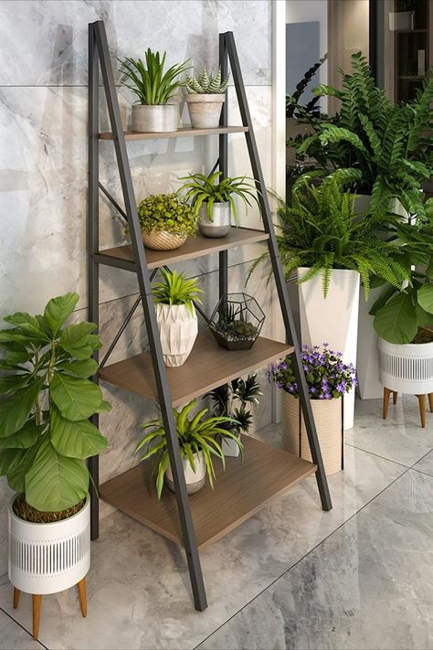 The A Shape Design of ladder shelf differentiates itself from many other shelves for its grain pattern shelves and black strong supports. Ladder Shelf Plants, Plant Ladder Shelf, Bookcase Ladder, Plant Ladder, Ladder Shelves, Rack Shelves, Metal Bookshelf, College Living, Ladder Bookshelf