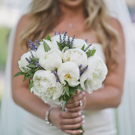 Peonies And Lavender, Lavender Wedding Theme, Peony Bouquet Wedding, Lavender Bouquet, Peony Wedding, Salou, Lavender Wedding, White Peonies, White Bouquet