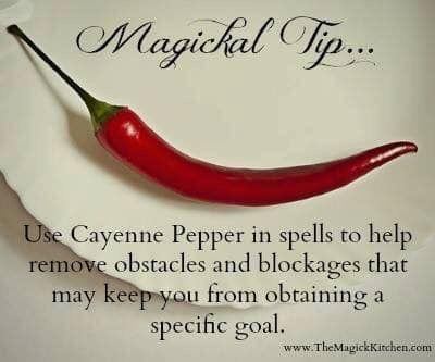 Hoodoo Spells, Magickal Herbs, Luck Spells, Witch Garden, Magic Herbs, Magick Spells, Eclectic Witch, Wiccan Spell Book, Magical Herbs