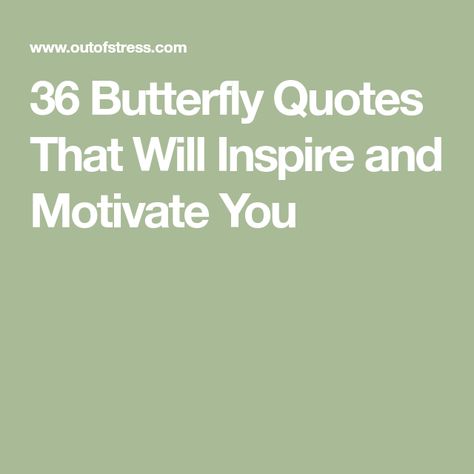 Butterfly Life Quotes, Butterfly Motivational Quotes, Butterfly Friendship Quotes, Butterfly Sayings Inspiration, Quotes About Butterflies Inspirational, Quotes About Butterflies Short, Butterfly Quotes Inspirational Life, Butterfly Growth Quotes, Butterfly Quotes Short Life