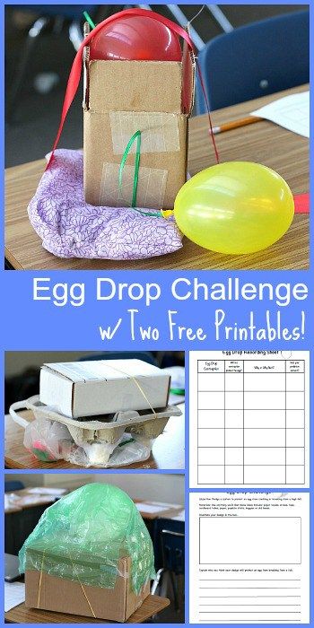 Egg Drop Challenge, Egg Drop Project, Stem Activity For Kids, Fun Stem Activities, Steam Challenges, Listening Center, Stem Projects For Kids, Cc Cycle 2, Engineering Activities