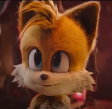 Sonic Pfps, Tails Sonic The Hedgehog, Movie Sonic, Sonic The Hedgehog 2, Movie Icon, Sonic Movie, Hedgehog Movie, Sonic Funny, Blue Hedgehog