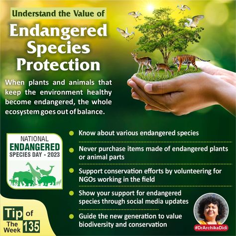 Understand the Value of Endangered Species Protection When plants and animals that keep the environment healthy become endangered, the whole ecosystem goes out of balance. 1.Know about various endangered species 2.Never purchase items made of endangered plants or animal parts 3.Support conservation efforts by volunteering for NGOs working in the field 4.Show your support for endangered species through social media updates 5.Guide the new generation to value biodiversity and conservation National Endangered Species Day, Emergency Housing, Free Educational Websites, Creative Book Cover Designs, Endangered Plants, Creative Book Covers, Endangered Wildlife, Forest And Wildlife, Basic Math