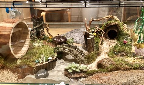 Hamsterscraping hobbit theme. Created by Ailsah Fraser #hamsterscaping #hobbit #hamstercagedesign #hamster Hamster Cage Themes Ideas, Hamster Cage Themes, Themed Hamster Enclosure, Themed Hamster Cages, Hamster Scaping, Hamster Cage Ideas, Hamster Tank, Hamster Enclosure, Hamster Diy Cage