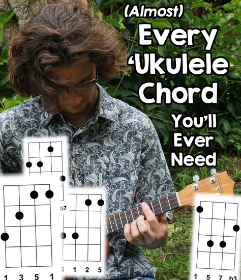 Chord Theory, Teaching Ukulele, Learn Ukulele, Ukulele Songs Beginner, Learning Ukulele, Ukulele Chords Chart, Ukulele Chords Songs, Uke Songs, Ukulele Tutorial