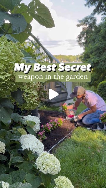 Mary Ann Beaudry on Instagram: "My Best Secret Weapon in The Garden 👇🏻
.
🌸 Double Up Pink Begonias.
.
🌿 They are the little workhorses in my Michigan garden.
.
🌿 I adore their continuous, beautiful pink double flowers. 
.
🌿 Height: 8-18”, spread: 8-14”
.
🌤 This area of my garden gets early morning sun till about 3pm in the afternoon. They do well in both sun or shade. I have grown them in both, they do fantastic in both light conditions. 
.
🌸 How to grow these annuals:
.
1️⃣ Prepare the soil:
.
🌿 For optimal growth, I have added last year’s potting soil from my containers to this bed. Don't have any old potting soil? No problem, add some fresh potting soil to the flower bed before planting
.
2️⃣ Osmocote:
.
🌿 After digging each hole, I add a handful of Osmocote. This will slowly Michigan Garden, Michigan Gardening, Early Morning Sun, Mary Ann, Double Up, Morning Sun, Flower Bed, Potting Soil, Gardening Ideas