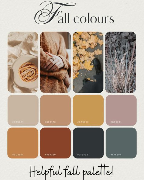 Ready for FALL! Here’s a helpful FALL palette! 🍁🍂 Early Autumn Wedding Colors, Fall Harvest Color Palette, Fall Photo Palette, Fall Paint Colors Colour Palettes, Fall Decor Color Palette, Fall Season Color Palette, Fall Colors For Pictures, Fall Family Photo Color Palette, Fall Color Codes