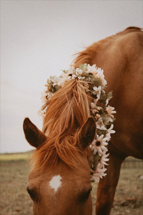 Horse With Flower Crown, Horse Flower Crown, Western Love Aesthetic, Farmstead Aesthetic, Horses Flowers, Desktop Collage, Pig Photos, Western Flowers, Rustic Flower Arrangements